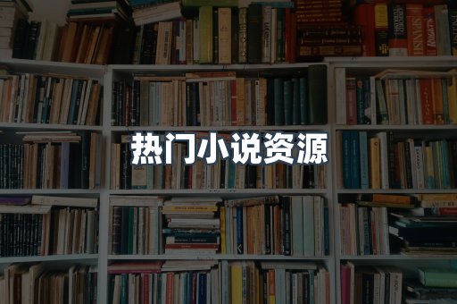 热门小说资源